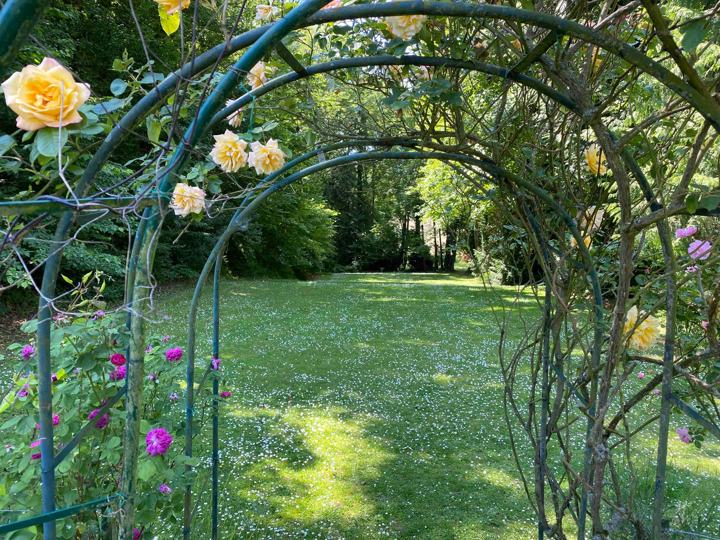 Sous les rosiers