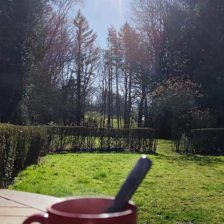 Café du matin dans le jardin