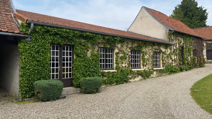 Les murs couverts de vigne vierge