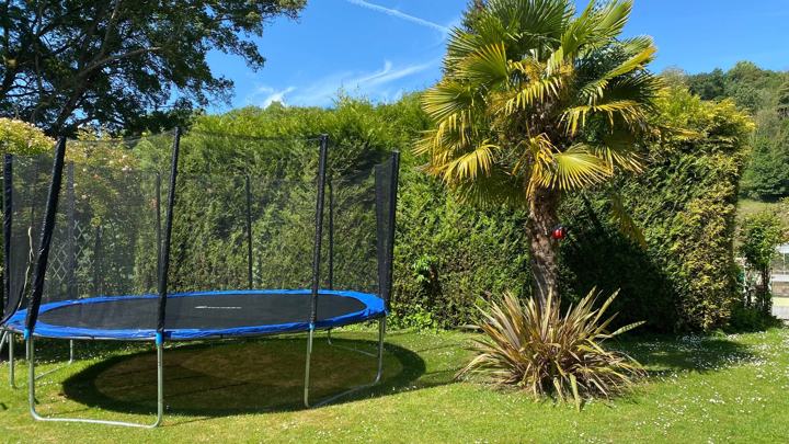 Trampoline et palmier