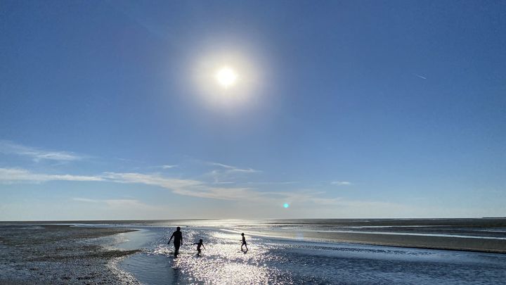 La baie de Somme à marée basse